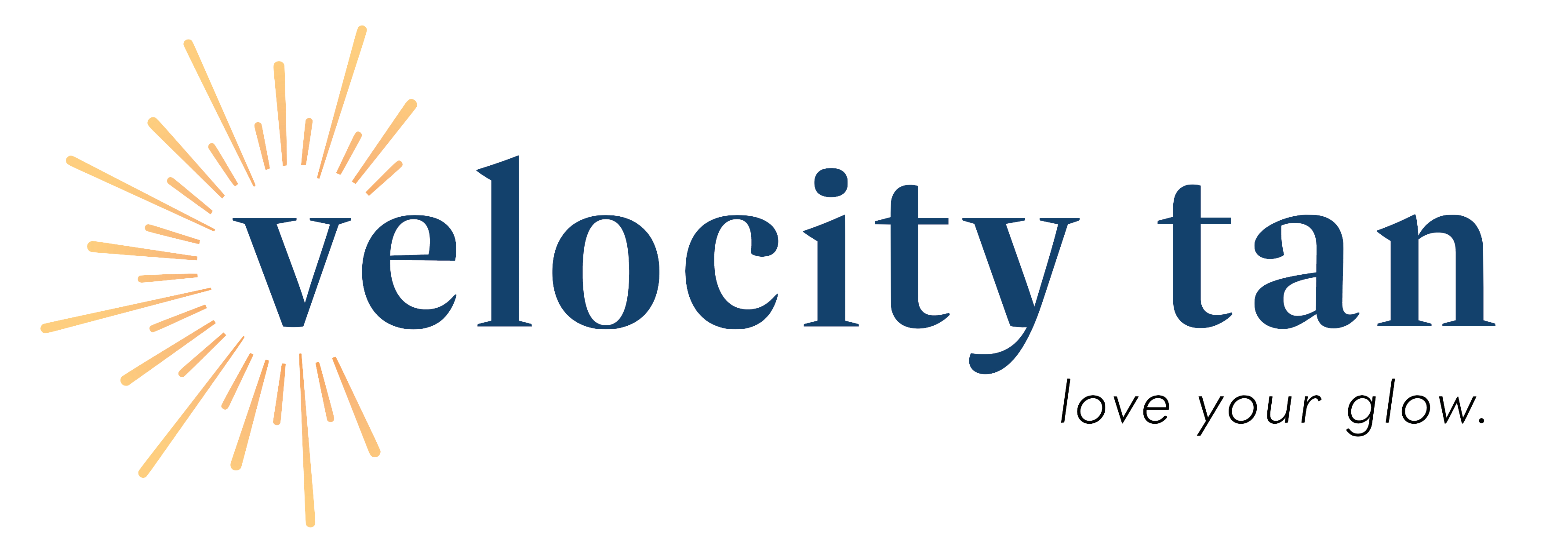 velocity tan logo