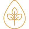 Balance Icon